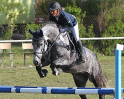 Sieg in der Springpferdeprüfung Klasse L und Dritte in Klasse M: Sandra Engelmann und Cero's Girl. Sieg in der Springpferdeprüfung Klasse L und Dritte in Klasse M: Sandra Engelmann und Cero's Girl.